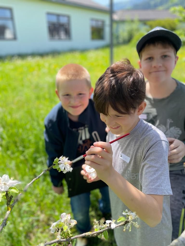 Mittelschule Stein Enns Herzlich Willkommen Auf Der Homepage Der